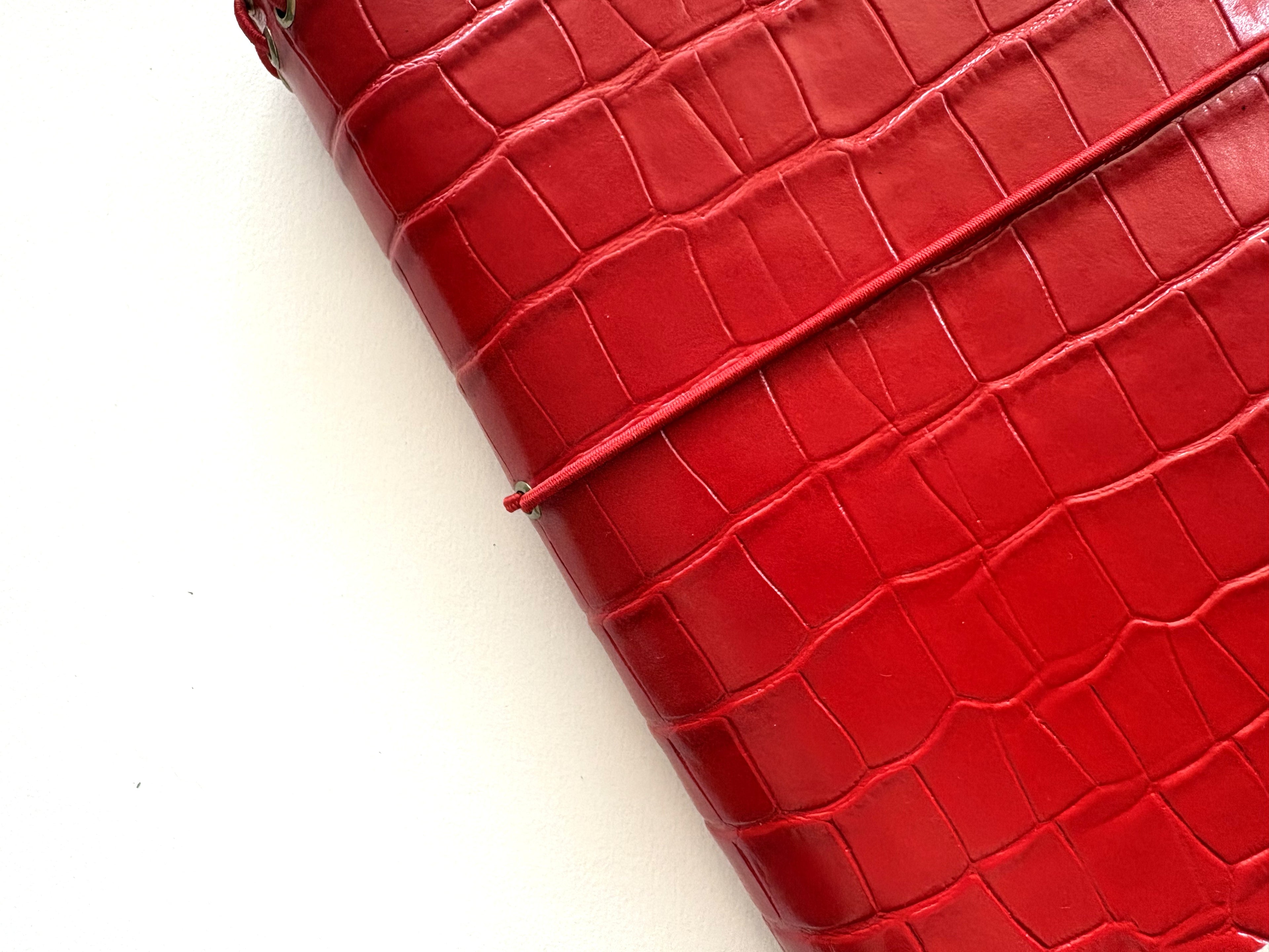 Red Crocodile + Red A5 Trifold
